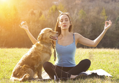 Psychological Benefits Of Living With A Pet: 8 Reasons To Own A Pet