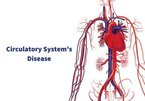 5 Diseases Associated With The Circulatory System