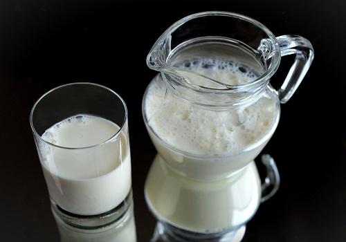 5 myths you need to stop believing about Cow’s milk