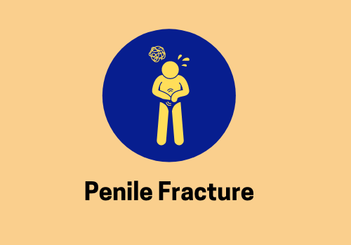 penile fracture