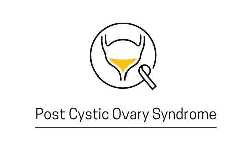 PCOS Poly Cystic Ovary Syndrome 