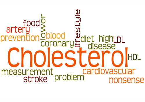 An Ultimate Guide To Understand Cholesterol